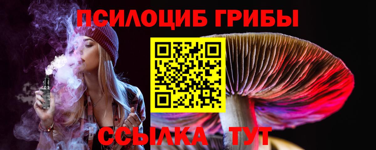 Кизилюрт  Галлюциногенные грибы Magic Shrooms  Вход с VPN  где купить наркоту  Галлюциногенные грибы прущие грибы 